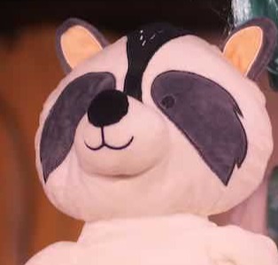 spectacles jeune public